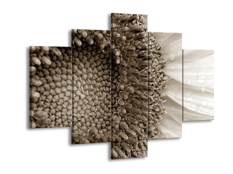 Glasschilderij Bloem | Sepia | 150x105cm 5Luik