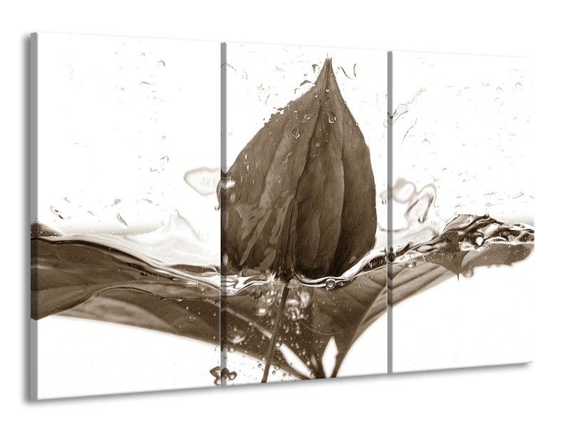 Canvas Schilderij Bloem | Sepia | 165x100cm 3Luik