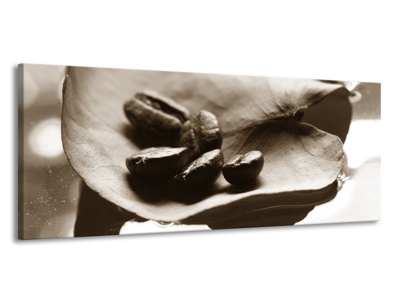 Glasschilderij Koffiebonen, Keuken | Sepia | 145x58cm 1Luik