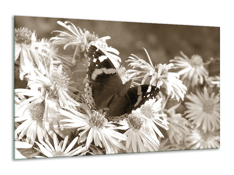 Canvas Schilderij Bloemen, Vlinder | Sepia, Bruin | 120x70cm 1Luik