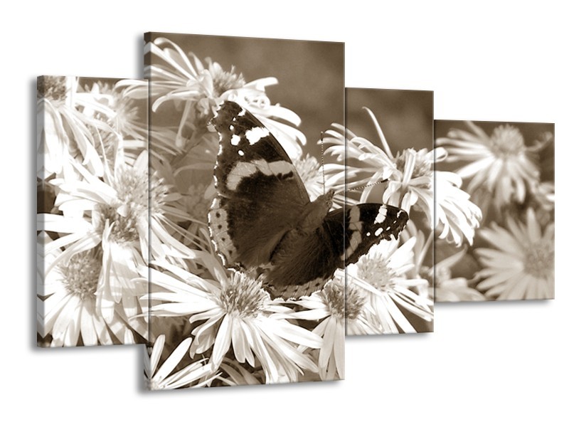 Glasschilderij Bloemen, Vlinder | Sepia, Bruin | 120x75cm 4Luik