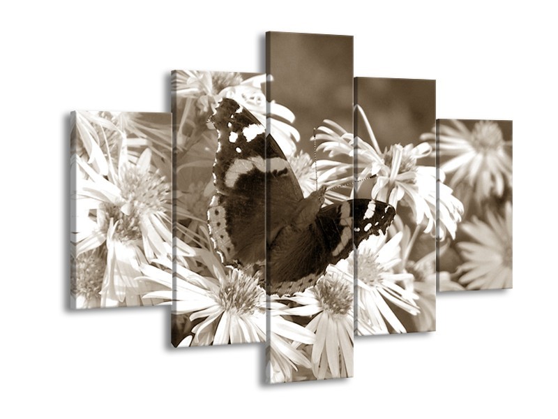 Glasschilderij Bloemen, Vlinder | Sepia, Bruin | 150x105cm 5Luik