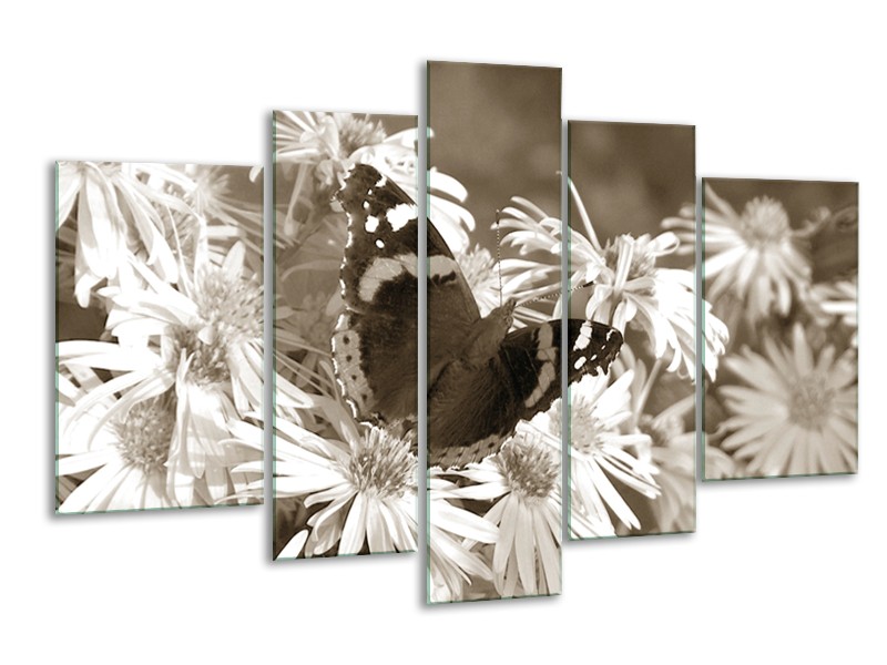 Glasschilderij Bloemen, Vlinder | Sepia, Bruin | 170x100cm 5Luik