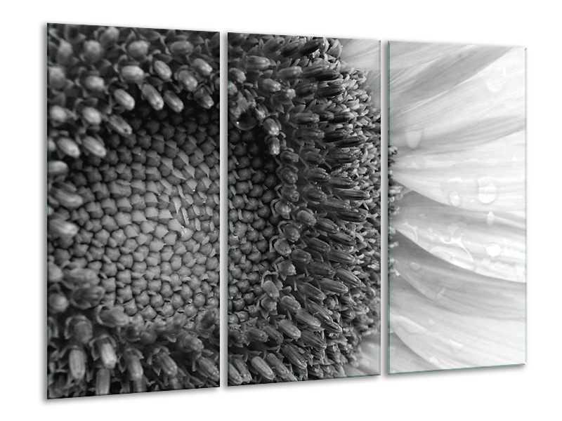 Glasschilderij Bloem | Zwart, Wit, Grijs | 120x80cm 3Luik