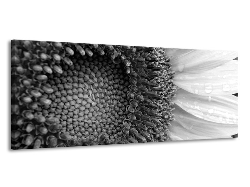 Canvas Schilderij Bloem | Zwart, Wit, Grijs | 145x58cm 1Luik