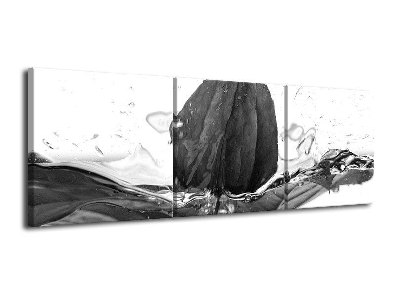 Glasschilderij Bloem | Zwart, Wit, Grijs | 120x40cm 3Luik