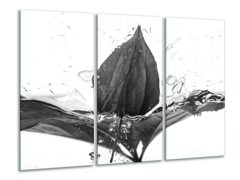 Canvas Schilderij Bloem | Zwart, Wit, Grijs | 120x80cm 3Luik