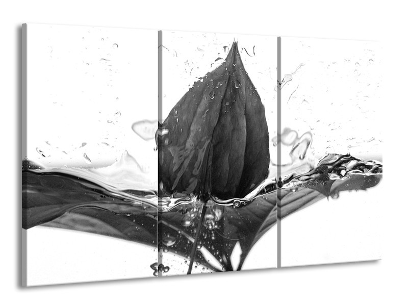 Canvas Schilderij Bloem | Zwart, Wit, Grijs | 165x100cm 3Luik