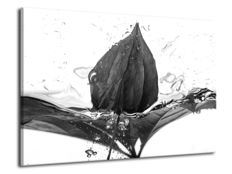 Glasschilderij Bloem | Zwart, Wit, Grijs | 70x50cm 1Luik