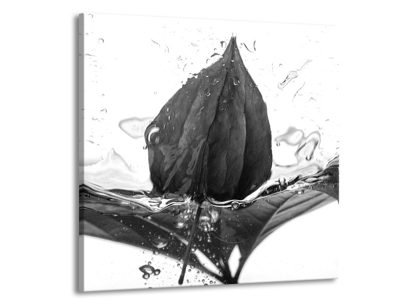 Canvas Schilderij Bloem | Zwart, Wit, Grijs | 70x70cm 1Luik