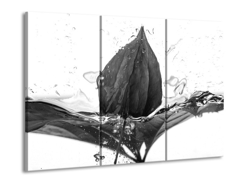 Glasschilderij Bloem | Zwart, Wit, Grijs | 60x90cm 3Luik