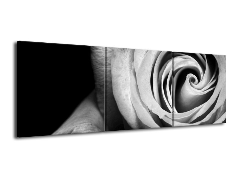 Canvas Schilderij Roos, Bloem | Zwart, Wit, Grijs | 120x40cm 3Luik