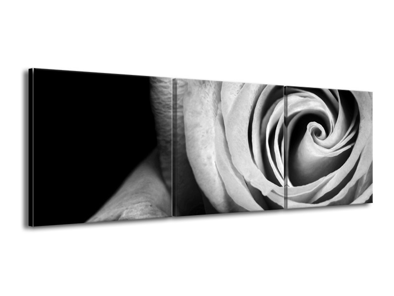 Canvas Schilderij Roos, Bloem | Zwart, Wit, Grijs | 150x50cm 3Luik