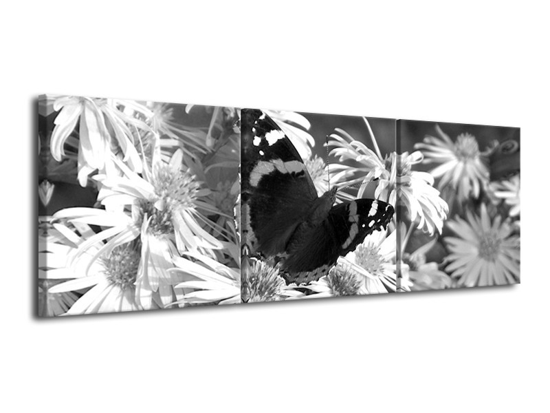 Glasschilderij Bloemen, Vlinder | Zwart, Wit, Grijs | 120x40cm 3Luik