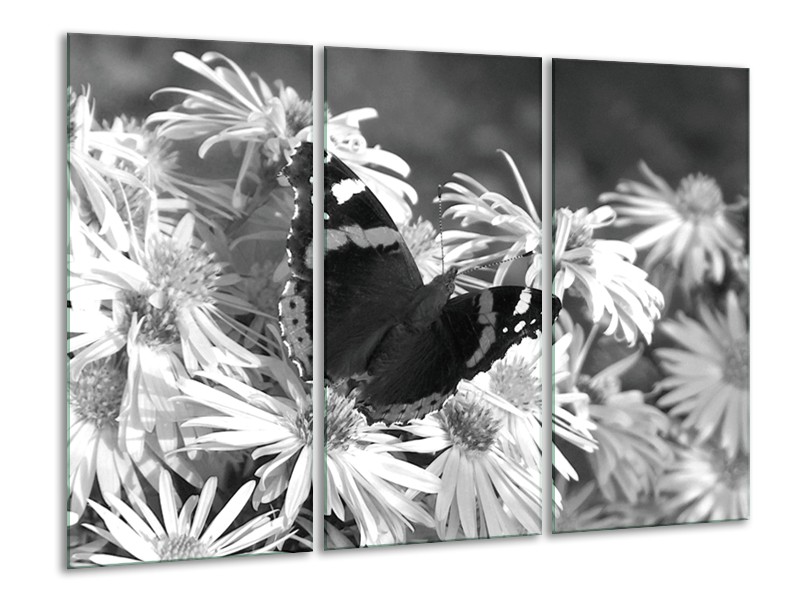 Glasschilderij Bloemen, Vlinder | Zwart, Wit, Grijs | 120x80cm 3Luik