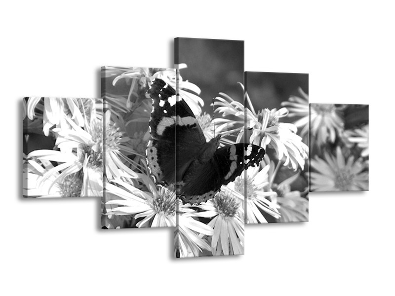 Canvas Schilderij Bloemen, Vlinder | Zwart, Wit, Grijs | 125x70cm 5Luik