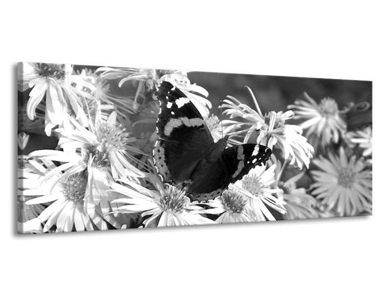 Canvas Schilderij Bloemen, Vlinder | Zwart, Wit, Grijs | 145x58cm 1Luik