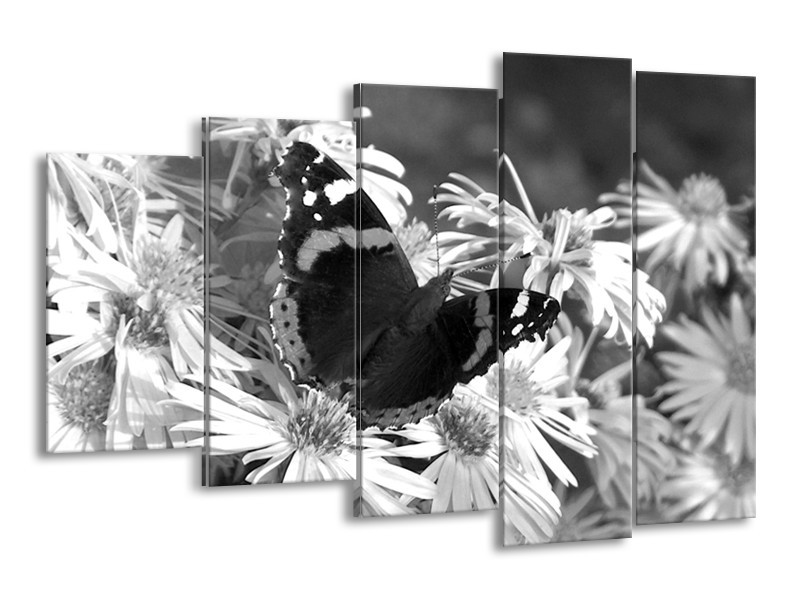 Glasschilderij Bloemen, Vlinder | Zwart, Wit, Grijs | 150x100cm 5Luik
