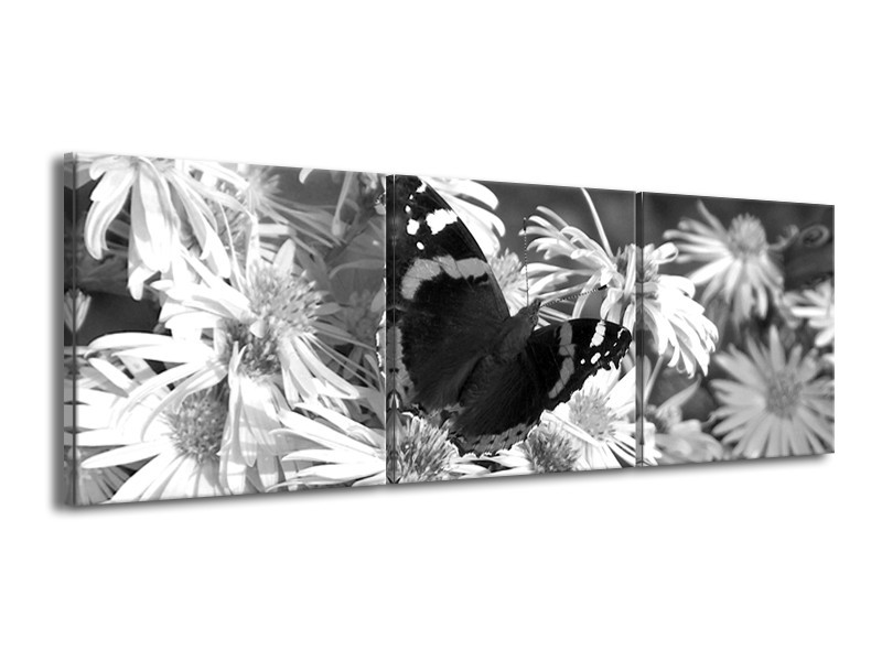 Glasschilderij Bloemen, Vlinder | Zwart, Wit, Grijs | 150x50cm 3Luik