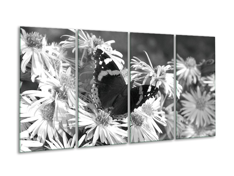 Glasschilderij Bloemen, Vlinder | Zwart, Wit, Grijs | 160x80cm 4Luik