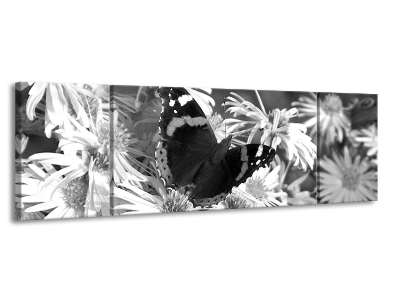 Canvas Schilderij Bloemen, Vlinder | Zwart, Wit, Grijs | 170x50cm 3Luik