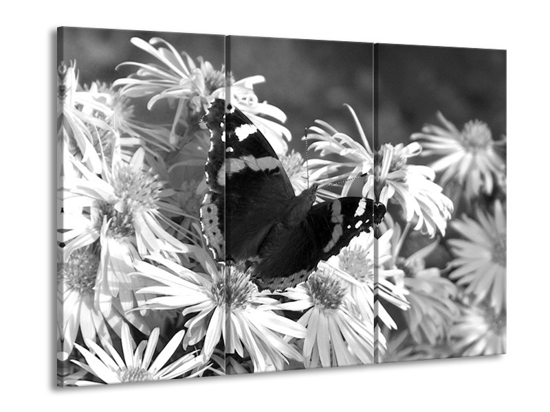 Glasschilderij Bloemen, Vlinder | Zwart, Wit, Grijs | 60x90cm 3Luik