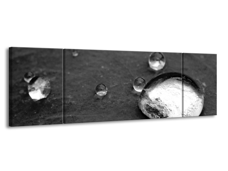 Canvas Schilderij Macro, Druppel | Zwart, Wit, Grijs | 170x50cm 3Luik