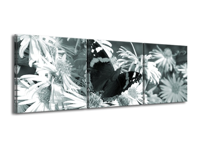 Glasschilderij Bloemen, Vlinder | Grijs, Groen, Zwart | 150x50cm 3Luik