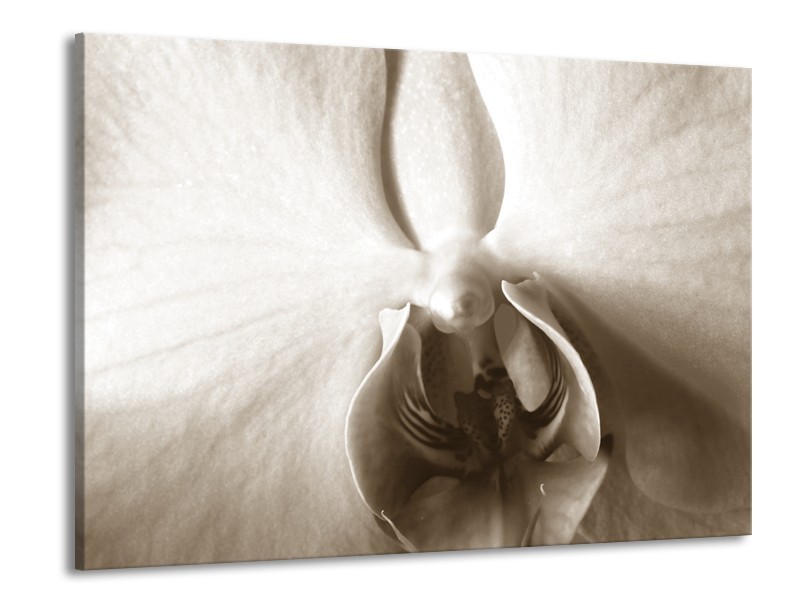 Glasschilderij Bloem | Sepia | 100x70cm 1Luik