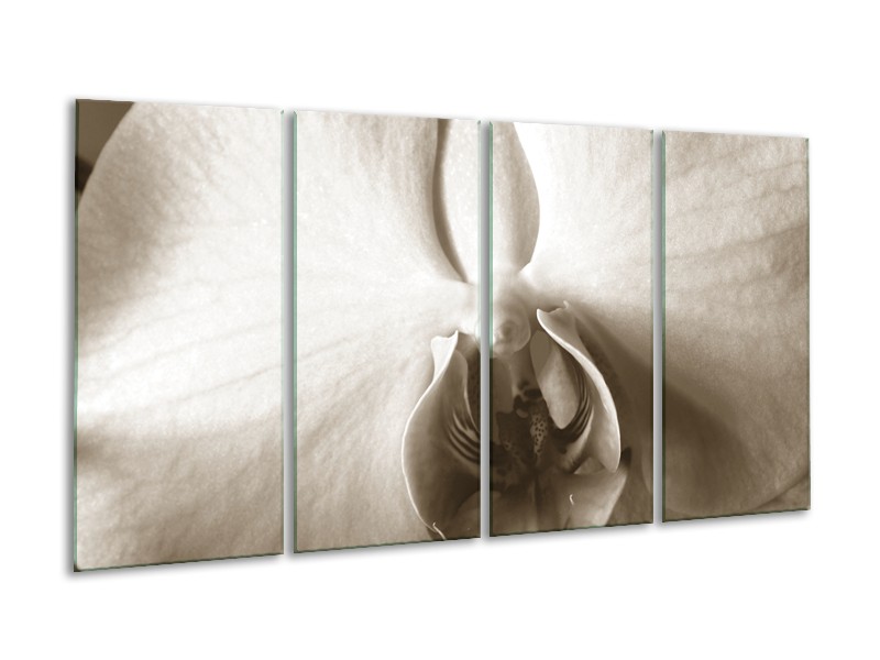 Glasschilderij Bloem | Sepia | 160x80cm 4Luik