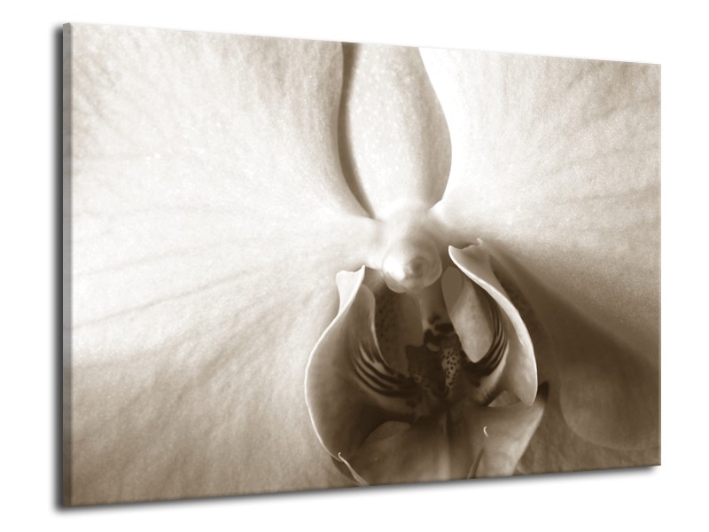 Canvas Schilderij Bloem | Sepia | 70x50cm 1Luik