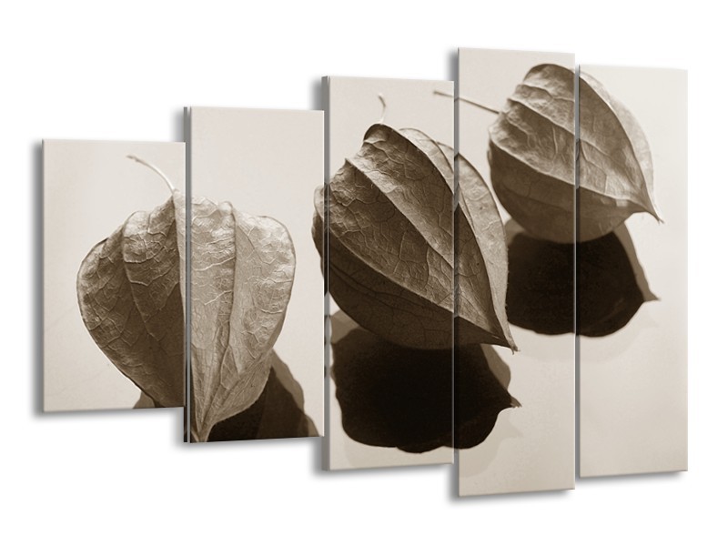 Glasschilderij Bloem | Sepia | 150x100cm 5Luik