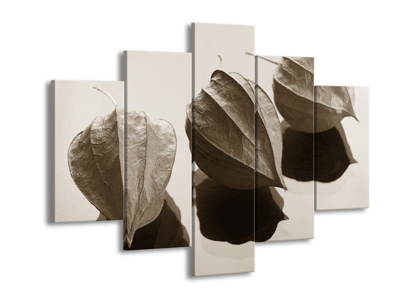 Glasschilderij Bloem | Sepia | 150x105cm 5Luik