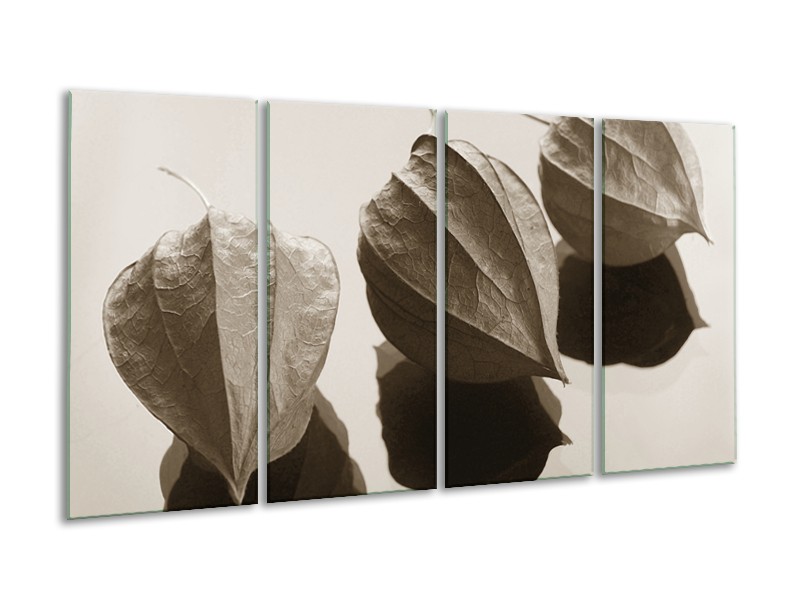 Glasschilderij Bloem | Sepia | 160x80cm 4Luik