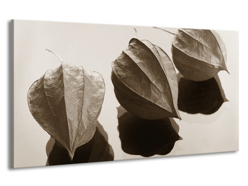 Canvas Schilderij Bloem | Sepia | 190x100cm 1Luik