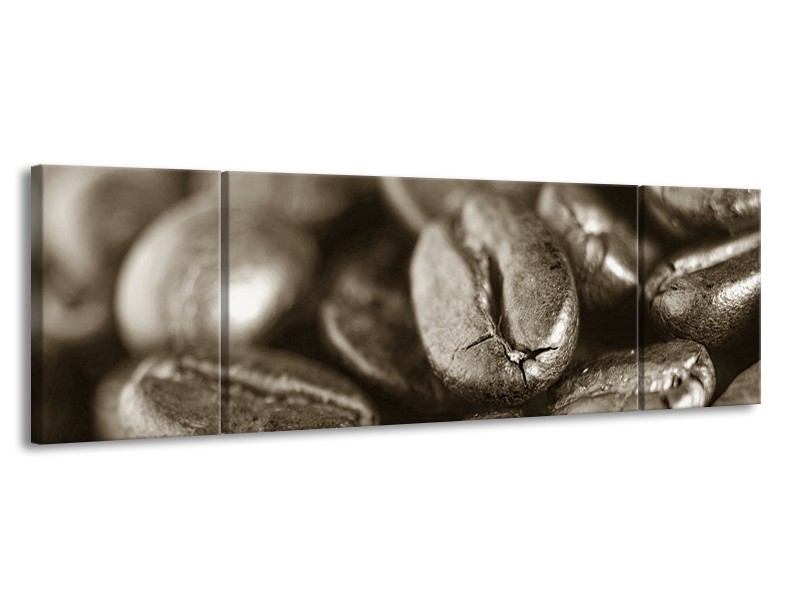 Glasschilderij Koffiebonen, Keuken | Sepia | 170x50cm 3Luik