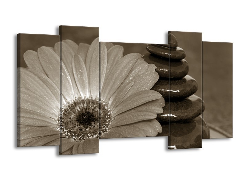 Glasschilderij Bloem, Stenen | Sepia | 120x65cm 5Luik