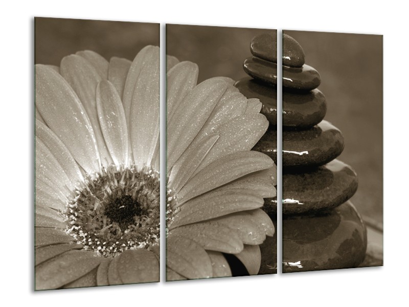 Canvas Schilderij Bloem, Stenen | Sepia | 120x80cm 3Luik