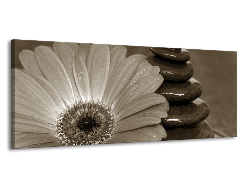 Glasschilderij Bloem, Stenen | Sepia | 145x58cm 1Luik