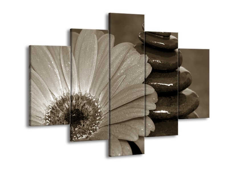 Glasschilderij Bloem, Stenen | Sepia | 150x105cm 5Luik