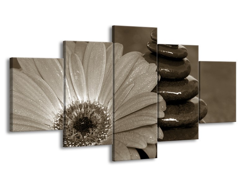 Glasschilderij Bloem, Stenen | Sepia | 150x80cm 5Luik