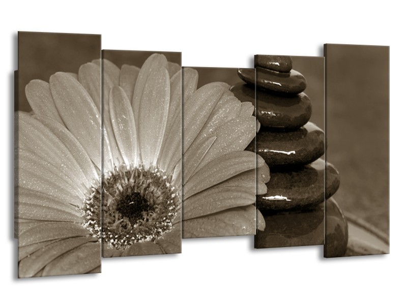 Glasschilderij Bloem, Stenen | Sepia | 150x80cm 5Luik