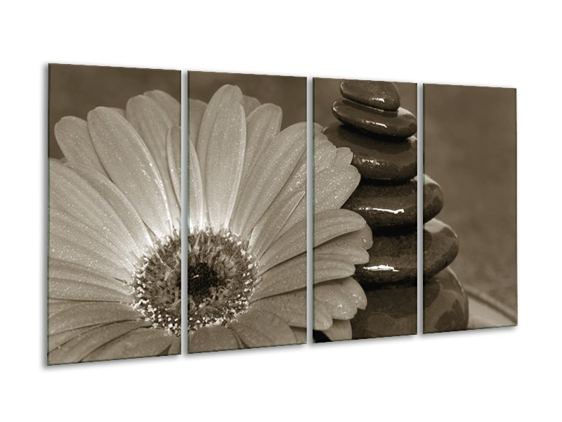 Glasschilderij Bloem, Stenen | Sepia | 160x80cm 4Luik