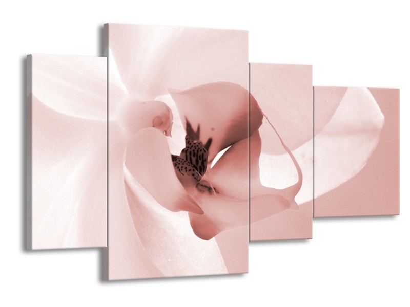 Canvas Schilderij Bloem | Rood, Crème | 120x75cm 4Luik