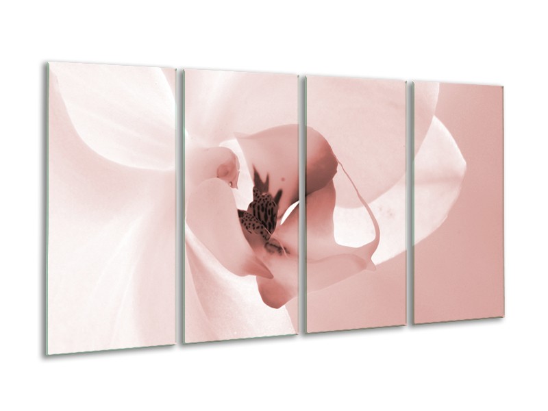 Glasschilderij Bloem | Rood, Crème | 160x80cm 4Luik