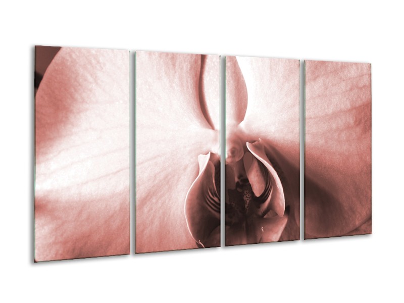 Glasschilderij Bloem | Rood, Crème , Bruin | 160x80cm 4Luik