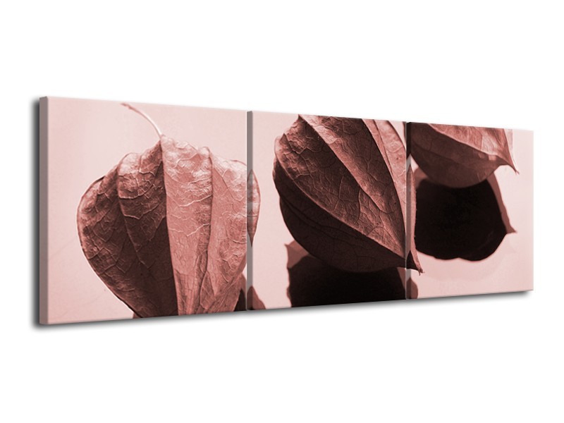 Glasschilderij Bloem | Rood, Bruin | 120x40cm 3Luik