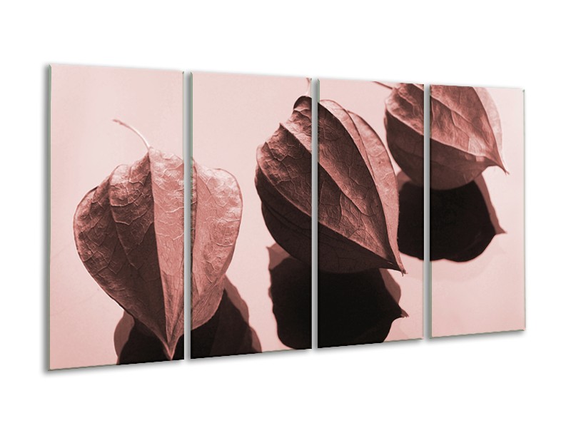 Glasschilderij Bloem | Rood, Bruin | 160x80cm 4Luik