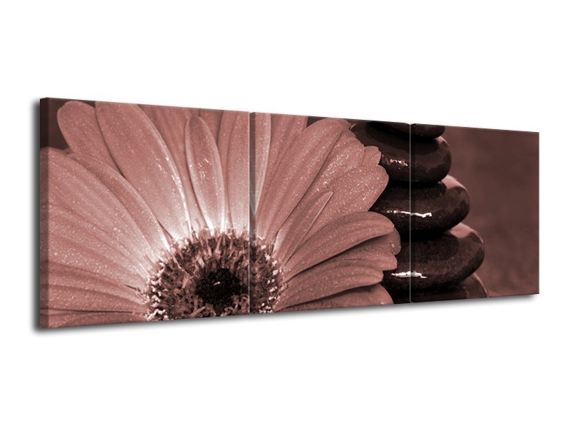 Glasschilderij Bloem, Stenen | Rood, Bruin | 120x40cm 3Luik