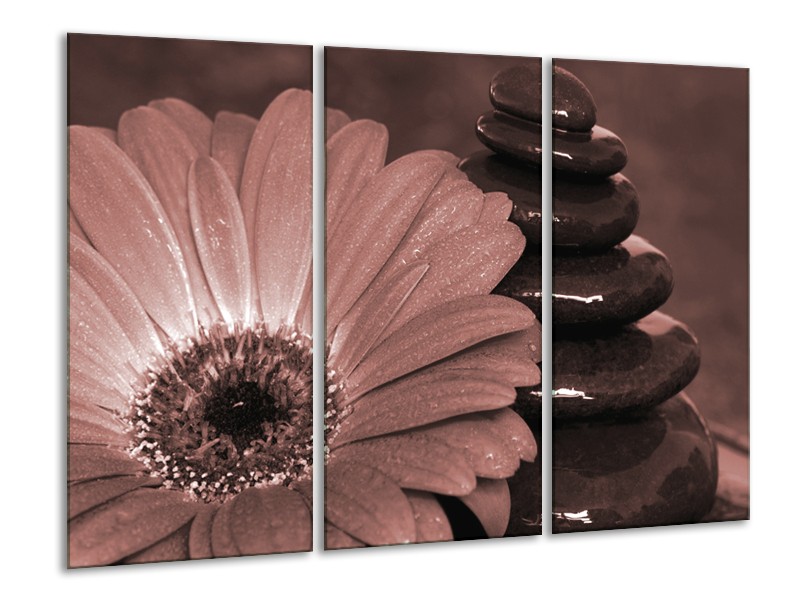 Canvas Schilderij Bloem, Stenen | Rood, Bruin | 120x80cm 3Luik